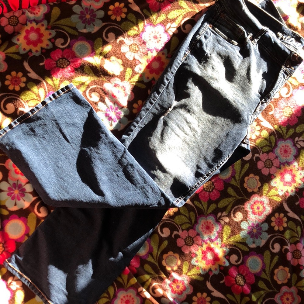 EUC Wallflower Dark Denim Jeans